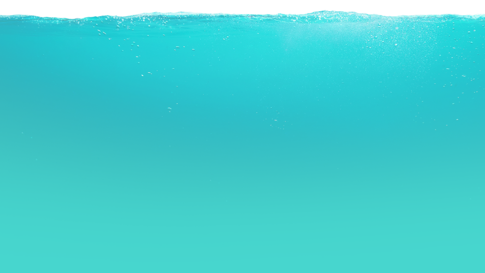 About feature background south