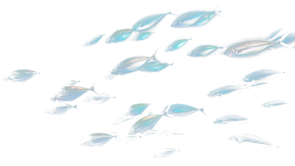 About feature image north