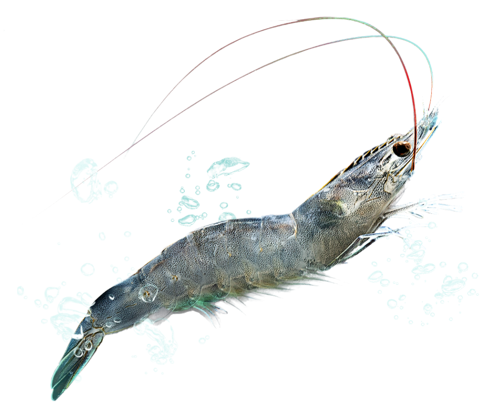 About feature image south