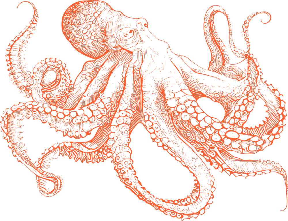Watermark octopus