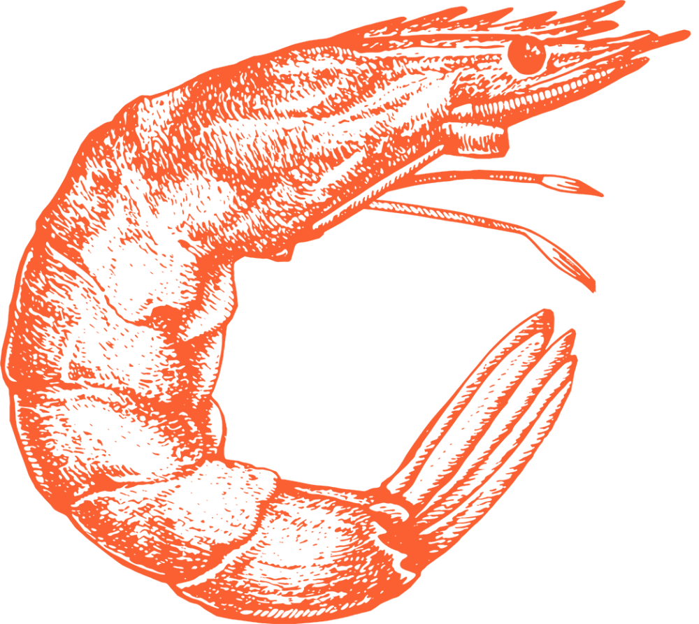 Watermark shrimp left