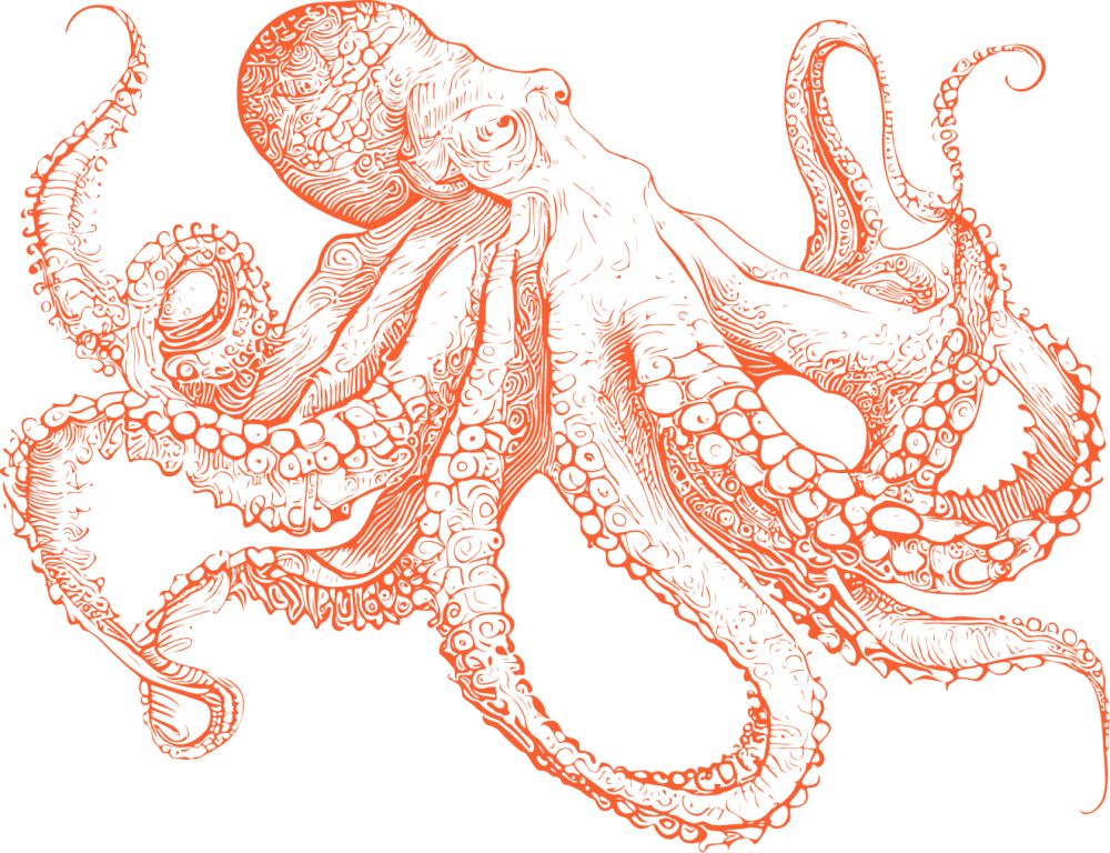 Watermark octopus