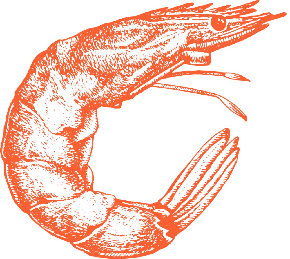 Watermark shrimp left